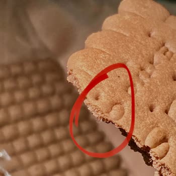 Bisküvide Hijyen Skandalı: Süsse Markası Güven Sarsıyor