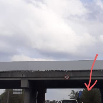 Sakarya Büyükşehir Belediyesi Tabela Sorunu!