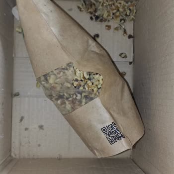 E-cerez Gönderilen Ceviz Bayattı!