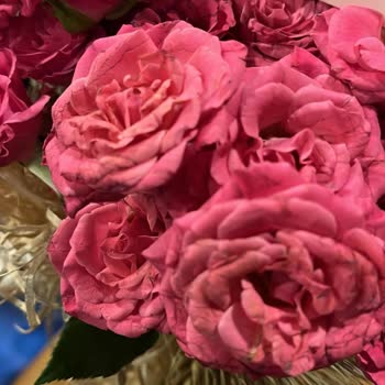 Görsele Uygun Olmayan Çiçekler Hayal Kırıklığı Yarattı