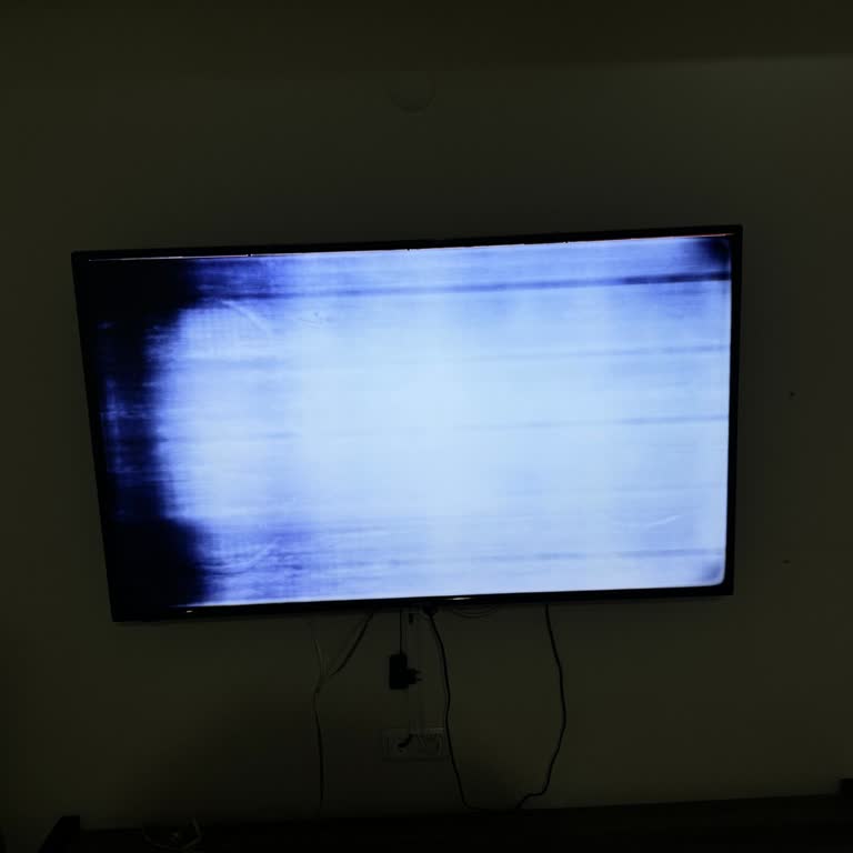 Vestel Televizyonun Erken Ekran Arızası