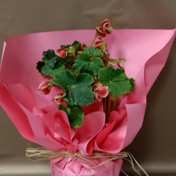 600 TL'lik Çiçek Hayal Kırıklığı: Kalitesiz Ürün Ve Yetersiz Destek