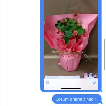 600 TL'lik Çiçek Hayal Kırıklığı: Kalitesiz Ürün Ve Yetersiz Destek