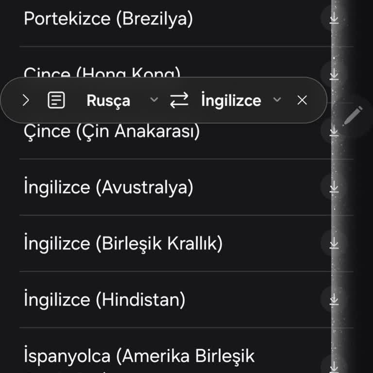 S23 Ultra'da S Pen Türkçe Desteği Sorunu