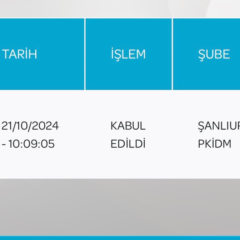 PTT Kargo: Ürünüm Nerede?