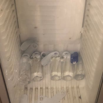 Restoranda Güvenlik Ve Hijyen Sorunları