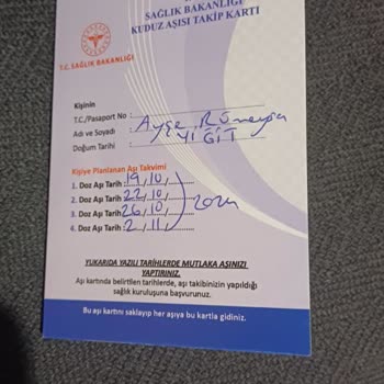 Gece Yarısı Kuduz Aşısı Sorunu