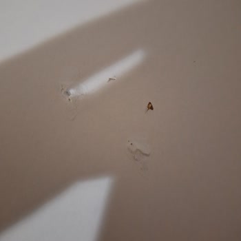 Mobilya Kalitesi Ve Teslimat Sorunları