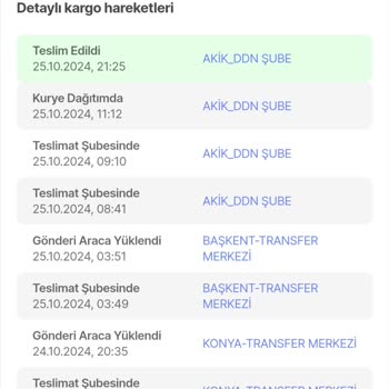 Kayıp Kargo Sorunu: Teslimat Gerçekleşmedi