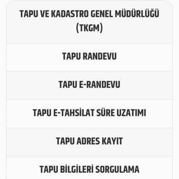Yanıltıcı Web Sitesi İle Kart Mağduriyeti