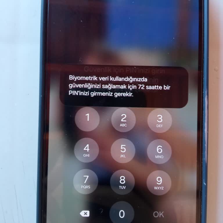 Samsung Galaxy A55 Kilit Sorunu