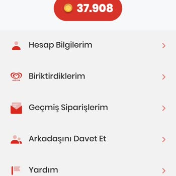 Algida Puan Kullanımında Yaşanan Sorunlar