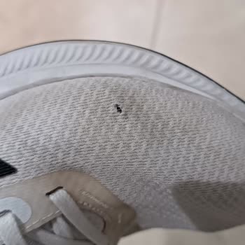 FLO'dan Aldığım Adidas Ayakkabının 3 Ayda Bozulması Ve İade Sorunu