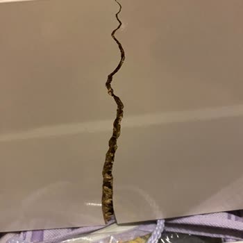 Joy İn Oda Takımında Beklenmedik Kalite Sorunu