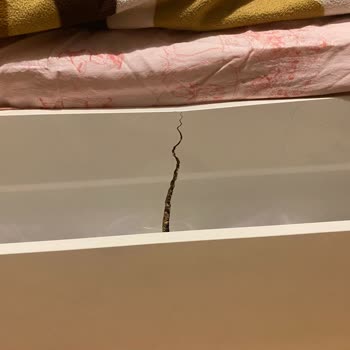 Joy İn Oda Takımında Beklenmedik Kalite Sorunu