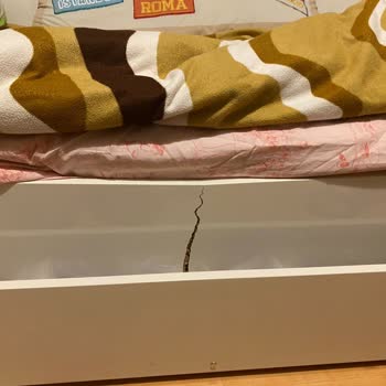 Joy İn Oda Takımında Beklenmedik Kalite Sorunu