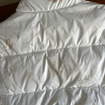 Calvin Klein Montta Beklenmedik Renk Değişimi Ve Yetersiz Müşteri Hizmeti