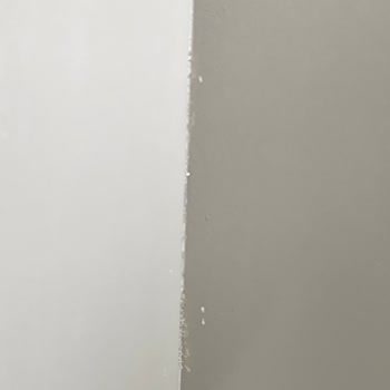 Bianca Stella Boya İle Hayal Kırıklığı: Duvarlarda Sürekli Dökülme