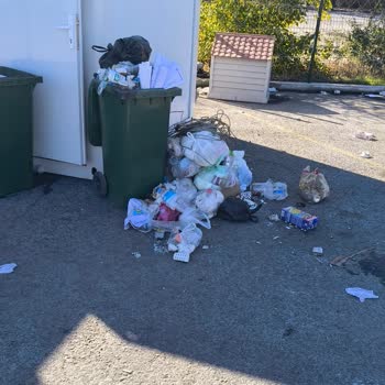 Sgs Transitnet Temizlik İle İlgili Çok Ciddi Problemler Var
