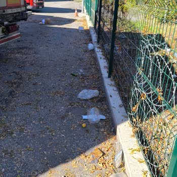 Sgs Transitnet Temizlik İle İlgili Çok Ciddi Problemler Var