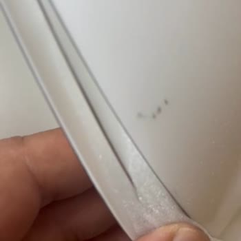 Eksik Ve Hasarlı Ürünlerle Hayal Kırıklığı