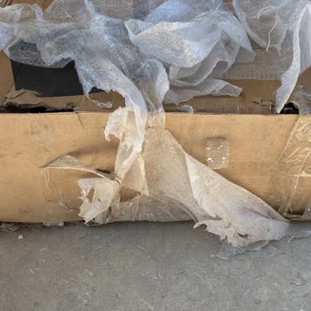 Klimamın İade Sürecinde Yaşadığım Haksızlık