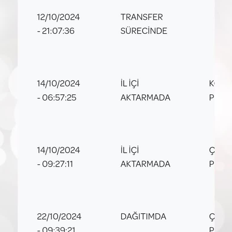 11 Gün Sonra Gelen Kargo Ve İade Sorunu