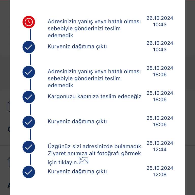 Kargo Kabusu: Yanlış Adres Ve İletişim Sorunları
