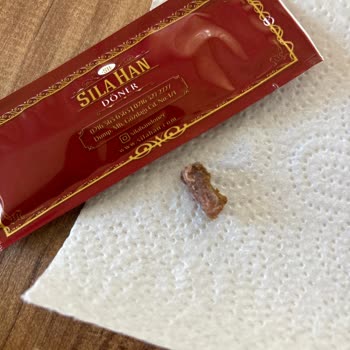 Sıla Han Döner Kebap Şikayeti