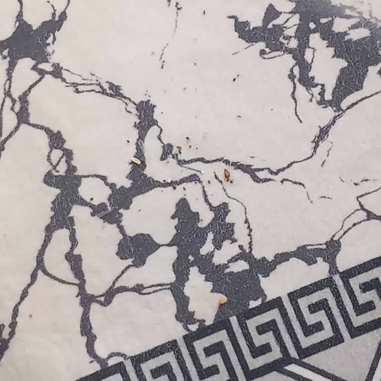 Philips Türkiye'de Müşteri Hizmetleri Hayal Kırıklığı