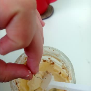 Magnolia Tatlısında Beklenmedik Yabancı Madde Sorunu