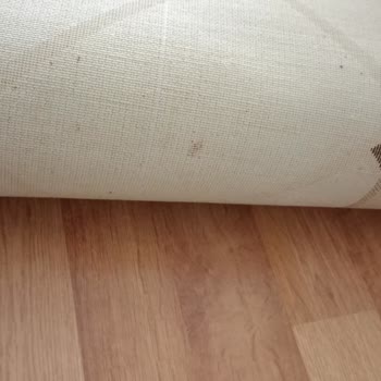 Beklentileri Karşılamayan Temizlik Hizmeti
