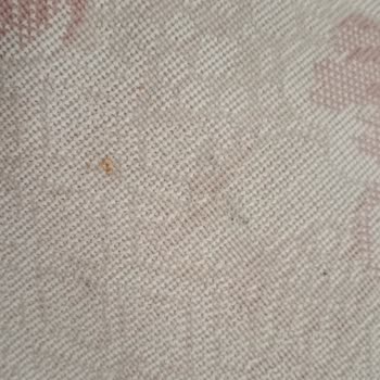 Beklentileri Karşılamayan Temizlik Hizmeti