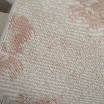 Beklentileri Karşılamayan Temizlik Hizmeti