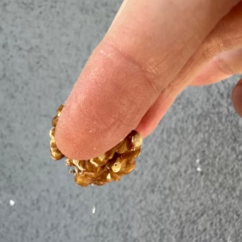 Migros Hemen Siparişimde Bozuk Cevizler