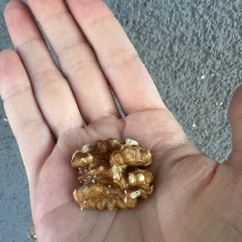 Migros Hemen Siparişimde Bozuk Cevizler