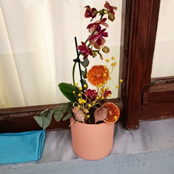 Hayal Kırıklığı Yaratan Orkide Teslimatı