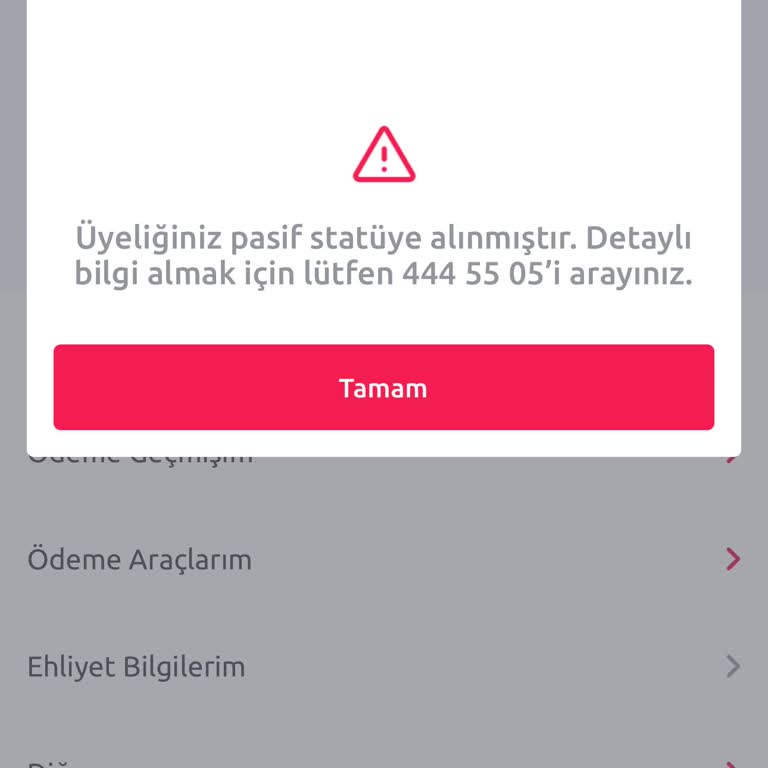 Hesap Pasifleşmesi Nedeniyle Acil Çözüm Talebi