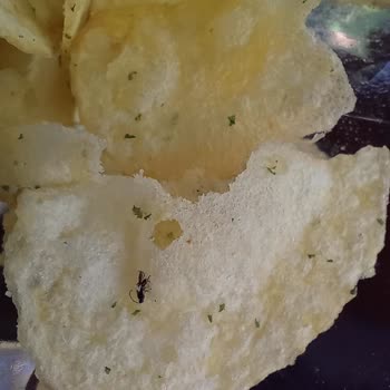 BİM Marketten Alınan Cipsin İçinden Böcek Çıktı