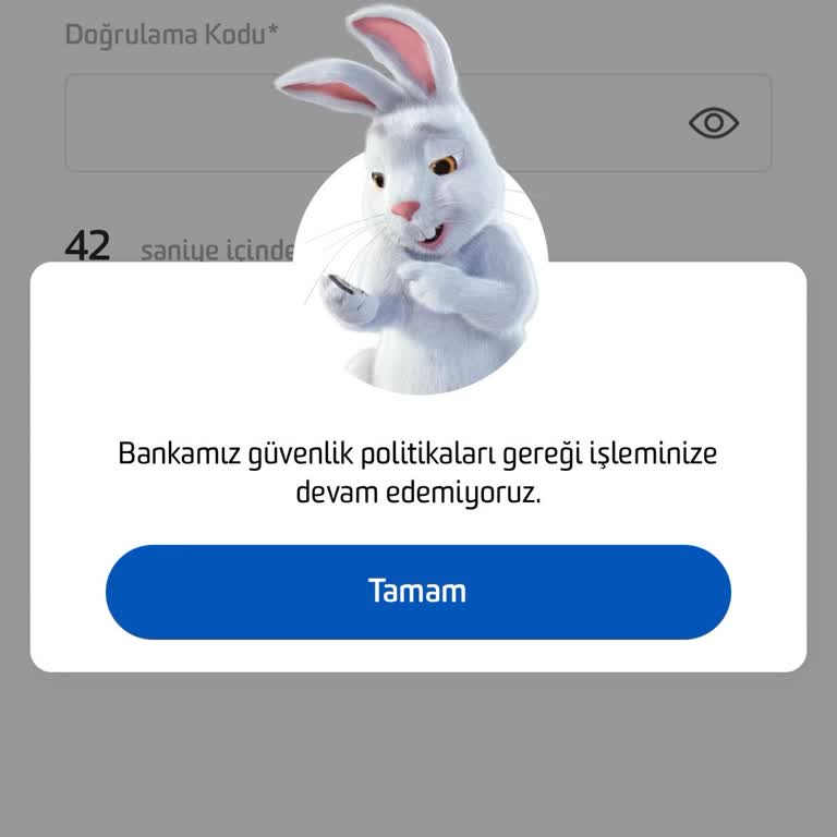 Fibabanka Güvenlik Politikası Engeliyle Karşılaşıyorum