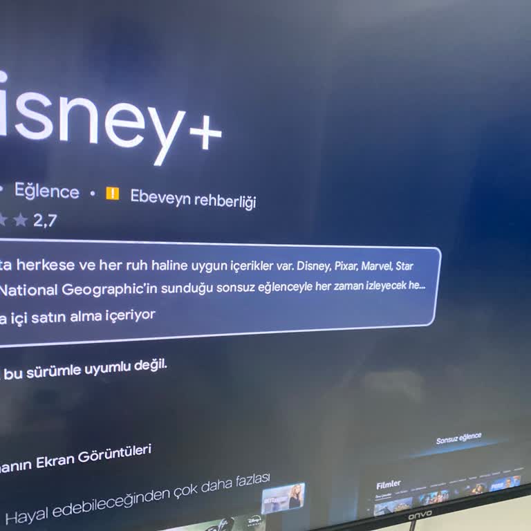 Yeni Televizyonda Disney Plus Uygulama Sorunu