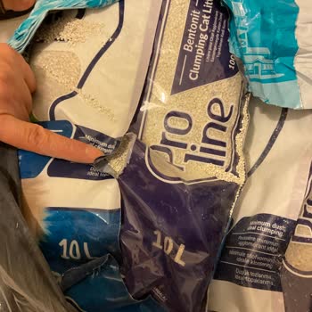 Patlak Kedi Kumu Ve Çözüm Üretemeyen Müşteri Hizmetleri