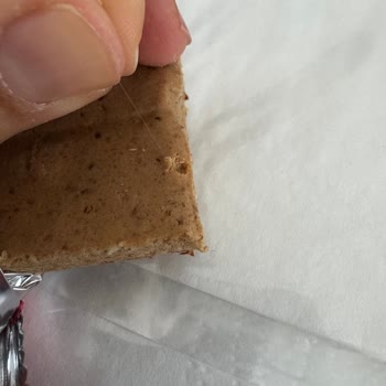 Protein Barında Yabancı Cisim Bulundu