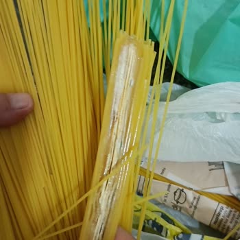 Küflü Makarna: Sağlığımız Tehlikede!