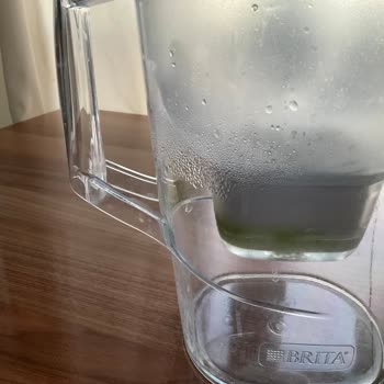 Brita Sürahide Yosun Sorunu