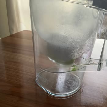 Brita Sürahide Yosun Sorunu