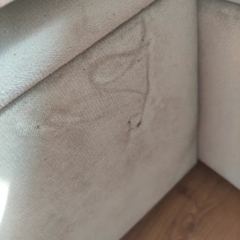 Evlilik Sonrası Mobilya Kabusu: Tahta Kurusu Sorunu