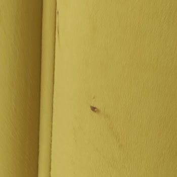 Evlilik Sonrası Mobilya Kabusu: Tahta Kurusu Sorunu