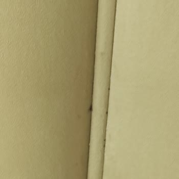 Evlilik Sonrası Mobilya Kabusu: Tahta Kurusu Sorunu