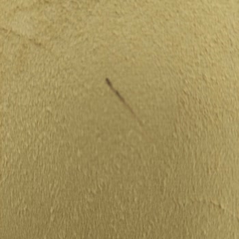 Evlilik Sonrası Mobilya Kabusu: Tahta Kurusu Sorunu